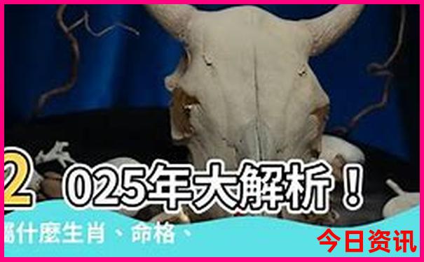 国内适合带孩子旅游的地方有哪些